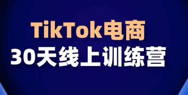 TikTok电商带货30天线上课，不可错过的全球流量洼地！-谷进海小站