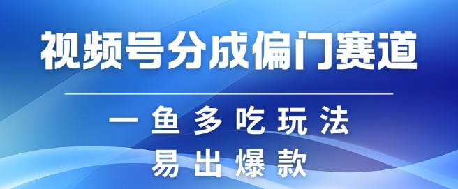 视频号创作者分成计划偏门类目，容易爆流，实拍内容简单易做【揭秘】-谷进海小站