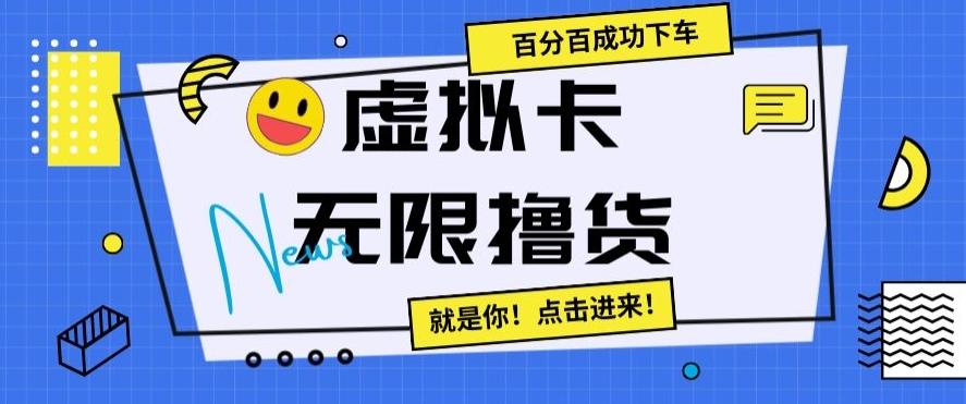 虚拟卡无限撸货，百分百成功下车【仅揭秘】-谷进海小站