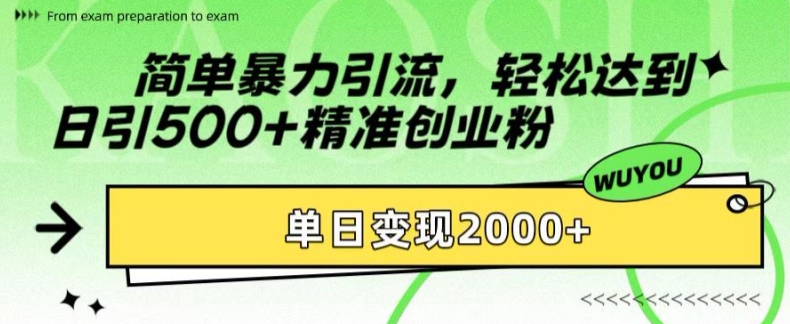简单暴力引流，轻松达到日引500+精准创业粉，单日变现2k【揭秘】-谷进海小站