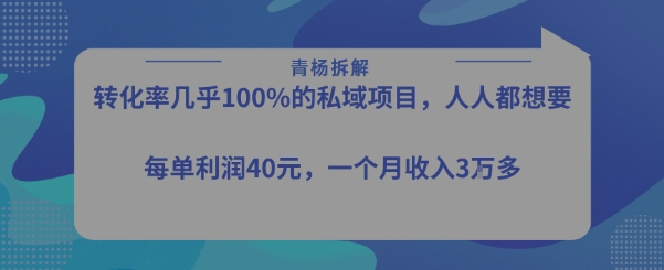 转化率最高的私域项目，每单利润40-50米，月入过1w-谷进海小站
