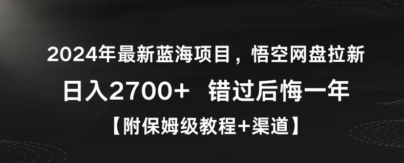2024年最新蓝海项目，悟空网盘拉新，日入2700+错过后悔一年【附保姆级教程+渠道】【揭秘】-谷进海小站