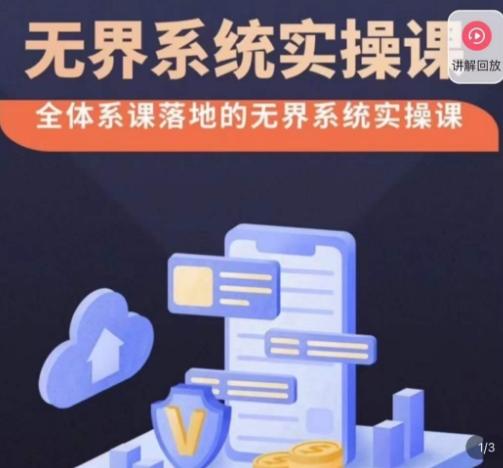 老衲·无界系统实操课，全体系落地无界改版后选择、出价、高投产做付费引流-谷进海小站