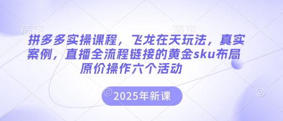 拼多多实操课程，飞龙在天玩法，真实案例，直播全流程链接的黄金sku布局原价操作六个活动-谷进海小站