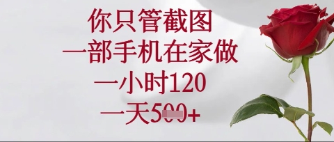 你只管截图，一部手机在家操作，一小时120.一天5张【揭秘】-谷进海小站
