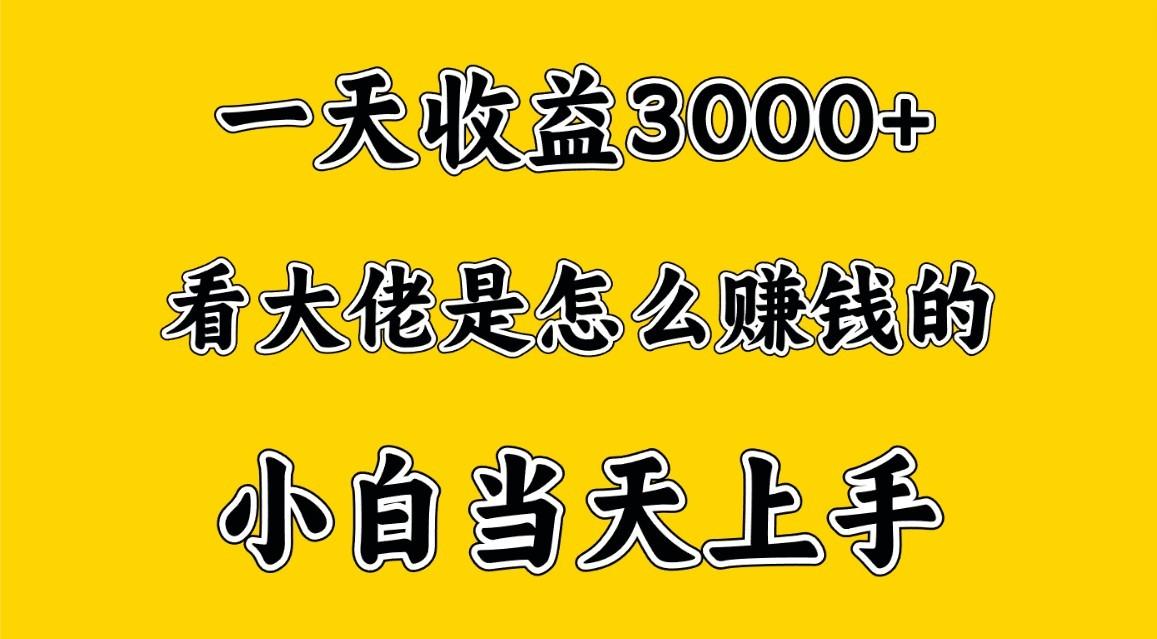 一天赚3000多，大佬是这样赚到钱的，小白当天上手，穷人翻身项目-谷进海小站
