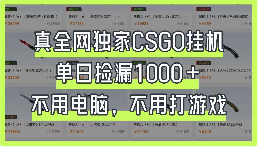 真全网独家CSGO挂机，单日捡漏1000+，不用电脑，不用养号-谷进海小站