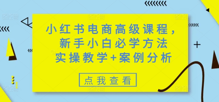 小红书电商高级课程，新手小白必学方法，实操教学+案例分析-谷进海小站