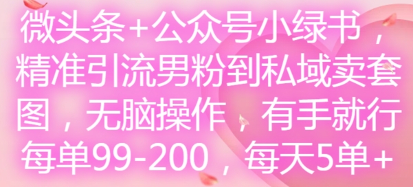 微头条+公众号小绿书，精准引流男粉到私域卖套图，无脑操作，有手就行，每单99-200，每天5单-谷进海小站