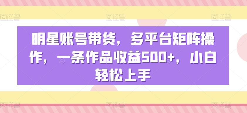 明星账号带货，多平台矩阵操作，一条作品收益500+，小白轻松上手【揭秘】-谷进海小站