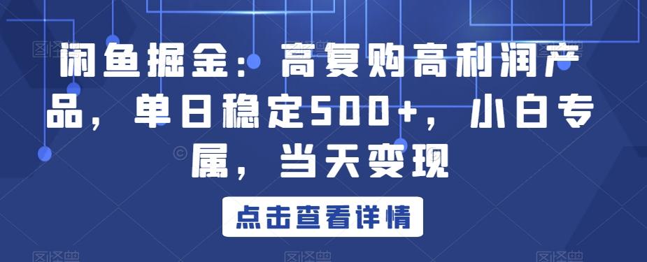 闲鱼掘金：高复购高利润产品，单日稳定500+，小白专属，当天变现-谷进海小站