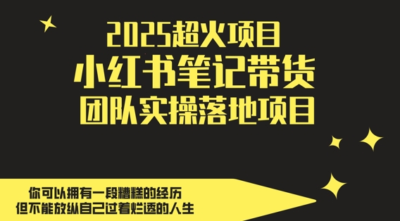 2025超火项目，副业最佳选择，小红书笔记带货团队实操落地项目，，轻松日入5张-谷进海小站