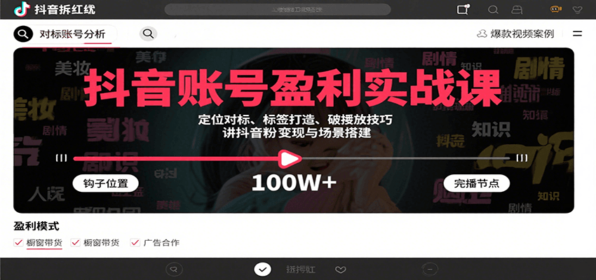 抖音账号盈利实战课，定位对标、标签打造、破播放技巧，讲涨粉变现与场景搭建-谷进海小站