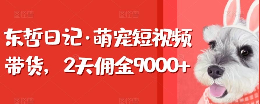 东哲日记·萌宠短视频带货，2天佣金9000+-谷进海小站