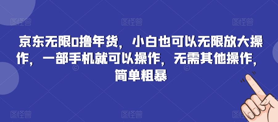 京东无限0撸年货，小白也可以无限放大操作，一部手机就可以操作，无需其他操作，简单粗暴-谷进海小站