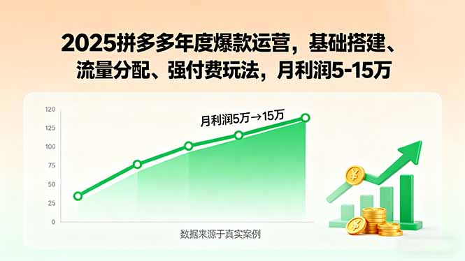 2025拼多多年度爆款运营，基础搭建、流量分配、强付费玩法，月利润5-15万-谷进海小站