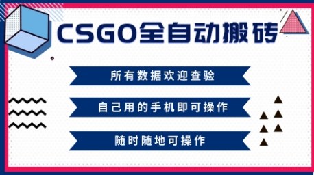 CSGO全自动搬砖，年底钱回家好项目，当天可拿到结果，新手小白轻松月入1W+【揭秘】-谷进海小站