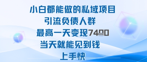 2025年小白都能做的私域项目引流负债人群最高一天变现1k+高变现难度低当天就能见到钱上手快-谷进海小站