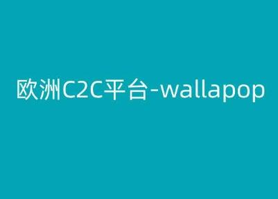 欧洲C2C平台-wallapop-kim跨境电商教程-谷进海小站