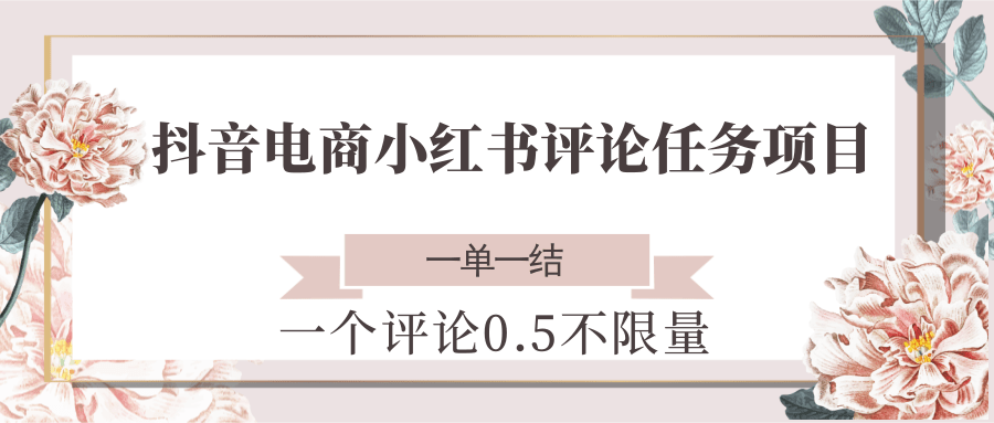抖音电商小红书评论任务项目，一个评论0.5，一单一结 不限量-谷进海小站