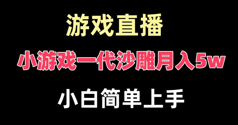 玩小游戏一代沙雕月入5w，爆裂变现，快速拿结果，高级保姆式教学【揭秘】-谷进海小站
