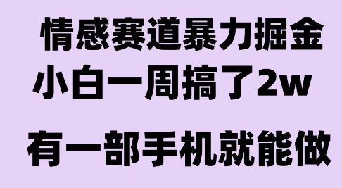 情感暴力掘金项目，新人操作一周挣了2W，长期稳定小白可做【揭秘】-谷进海小站