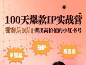 小红书100天爆款IP实战营，带你从0到1做出高价值的小红书号-谷进海小站