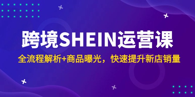 跨境SHEIN运营课，全流程解析+商品曝光，快速提升新店销量-谷进海小站