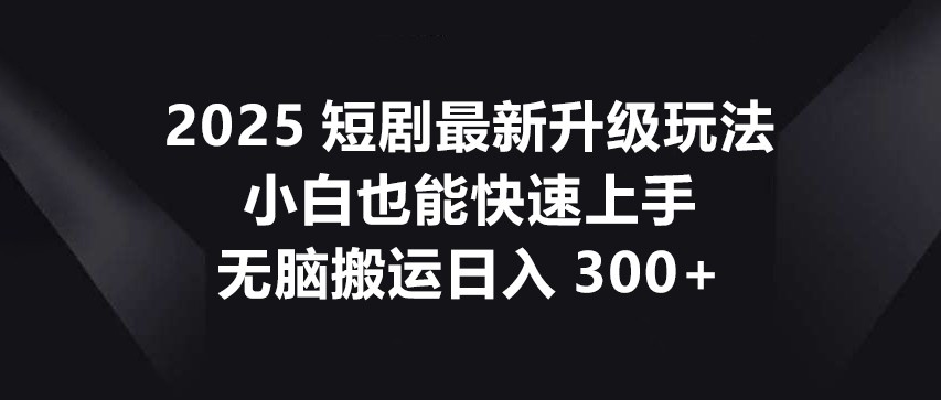 2025短剧最新升级玩法，小白也能快速上手，无脑搬运日入300+-谷进海小站