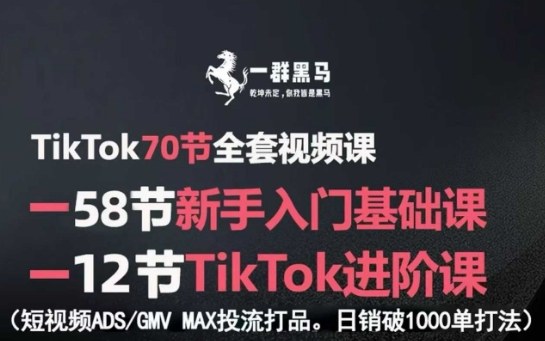 TikTok全套视频课，新手入门+进阶课，短视频ADS-GMV MAX投流打品，日销破1000单打法-谷进海小站