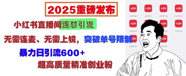 2025重磅发布：小红书直播间连怼引流，无需连麦、无需上镜，突破单号限制，暴力日引流600+-谷进海小站