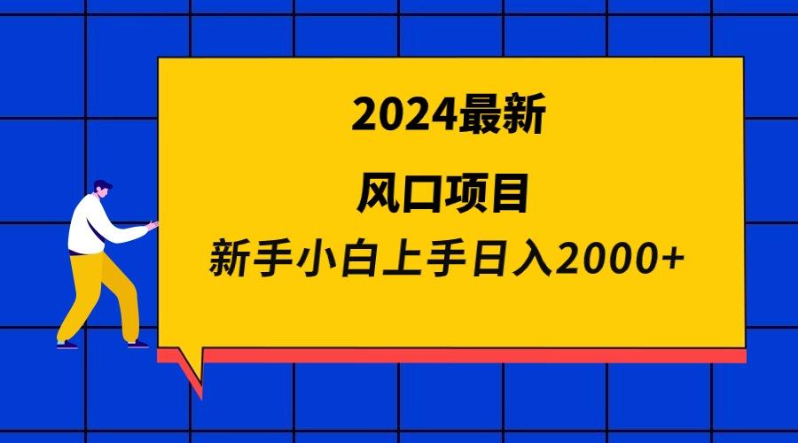(9483期)2024最新风口项目 新手小白日入2000+-谷进海小站