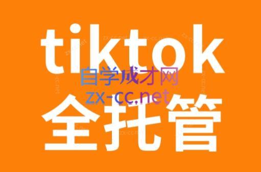 TikTok跨境电商全托管运营模式精品课-谷进海小站
