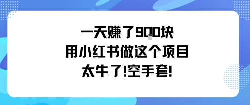 一天挣了9张用小红书做这个项目太牛了，空手套-谷进海小站