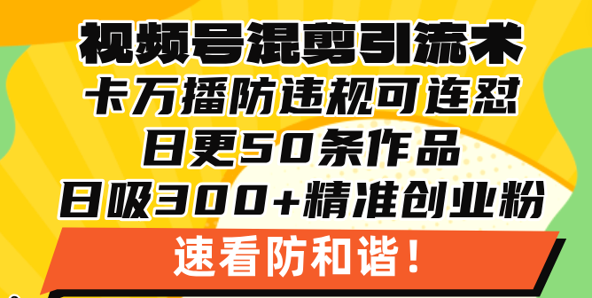 视频号混剪引流技术，500万播放引流17000创业粉，操作简单当天学会-谷进海小站