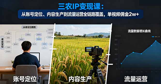 三农IP变现课：从账号定位、内容生产到流量运营全链路覆盖，单视频佣金2w+-谷进海小站