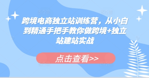 跨境电商独立站训练营，从小白到精通手把手教你做跨境+独立站建站实战-谷进海小站