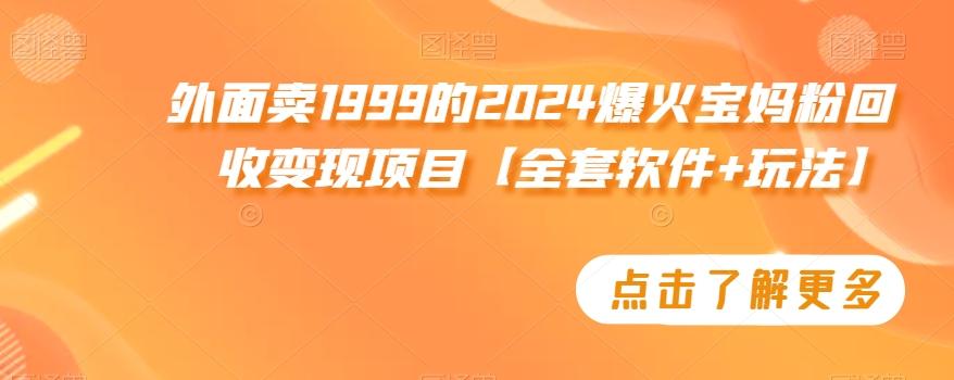 外面卖1999的2024爆火宝妈粉回收变现项目【全套软件+玩法】【揭秘】-谷进海小站