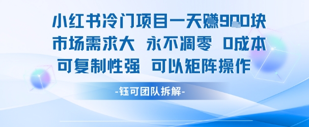小红书冷门项目一天收益9张，市场需求大，0成本，可复制性强可以矩阵操作-谷进海小站