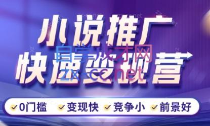 洲洲老师·小说推广快速变现营-谷进海小站