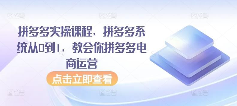 拼多多实操课程，拼多多系统从0到1，教会你拼多多电商运营-谷进海小站