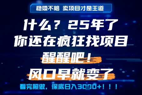 什么？25年你还在疯狂找项目做，醒醒吧，看完这些你全都懂了！【揭秘】-谷进海小站