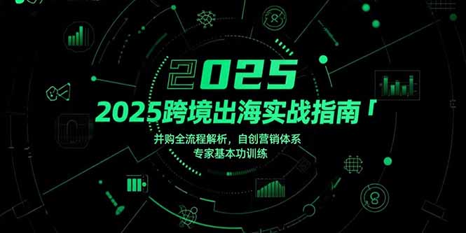 2025跨境出海实战指南，并购全流程解析，自创营销体系，专家基本功训练-谷进海小站