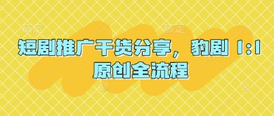 短剧推广干货分享，豹剧 1:1原创全流程-谷进海小站