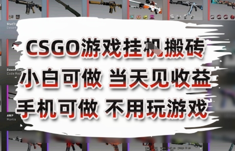 CSGO游戏挂G搬砖，小白纯手机即可操作，不用电脑打游戏，日入3张+，副业网创项目【揭秘】-谷进海小站