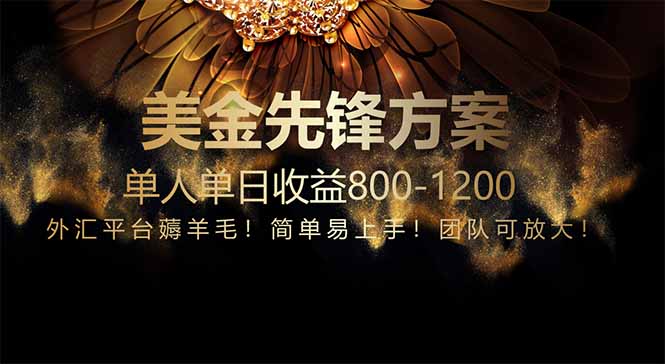 免费技术！小众赛道！一年布局抵三年努力，每日800+-谷进海小站