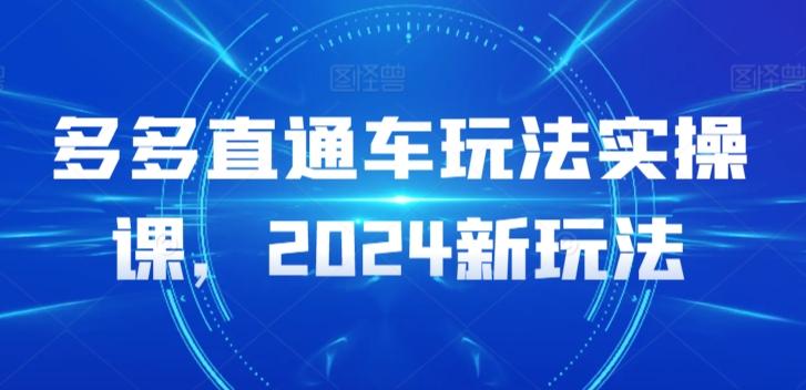 多多直通车玩法实操课，2024新玩法-谷进海小站