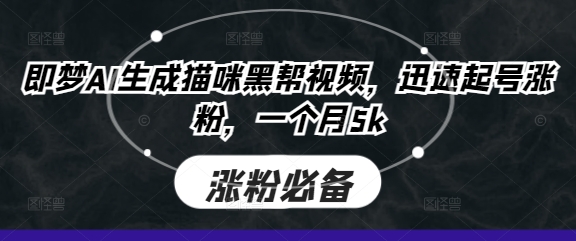 即梦AI生成猫咪黑帮视频，迅速起号涨粉，一个月5k-谷进海小站