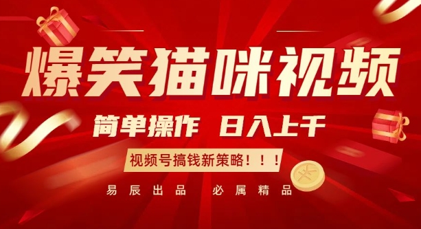 爆笑猫咪视频：简单操作，日入过K，视频号搞钱新策略【揭秘】-谷进海小站