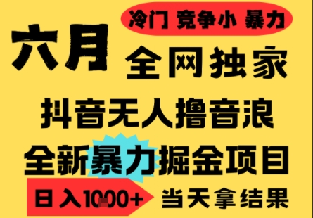 25年6月高爆抖音无人直播最新撸音浪掘金项目，小白可做，无脑日入1k+，门槛低可批量矩阵【揭秘】-谷进海小站